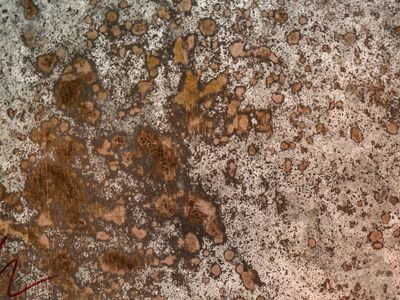 Professional water damage restoration services in Bellevue - FrostBlock